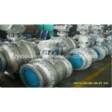 Metal to Metal Seat Ball Valve (Q41H)